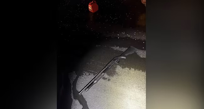 Shotgun